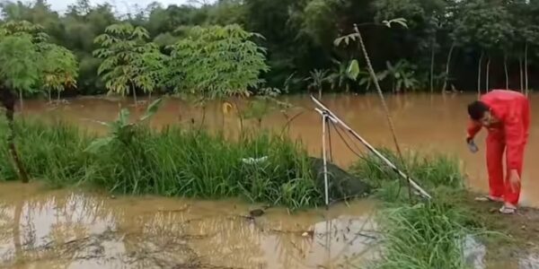 LANSIA TEWAS DI SAWAH, TASIK