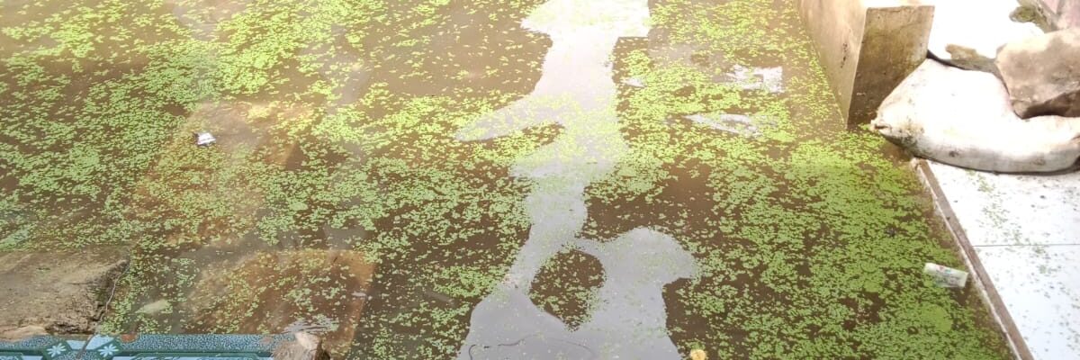 “Jalan Gang Kerap Tergenang Setiap Hujan, Warga Curug Candung RW 05 Desak Pemdes Haurpugur Segera Bangun Drainase”