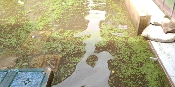 “Jalan Gang Kerap Tergenang Setiap Hujan, Warga Curug Candung RW 05 Desak Pemdes Haurpugur Segera Bangun Drainase”