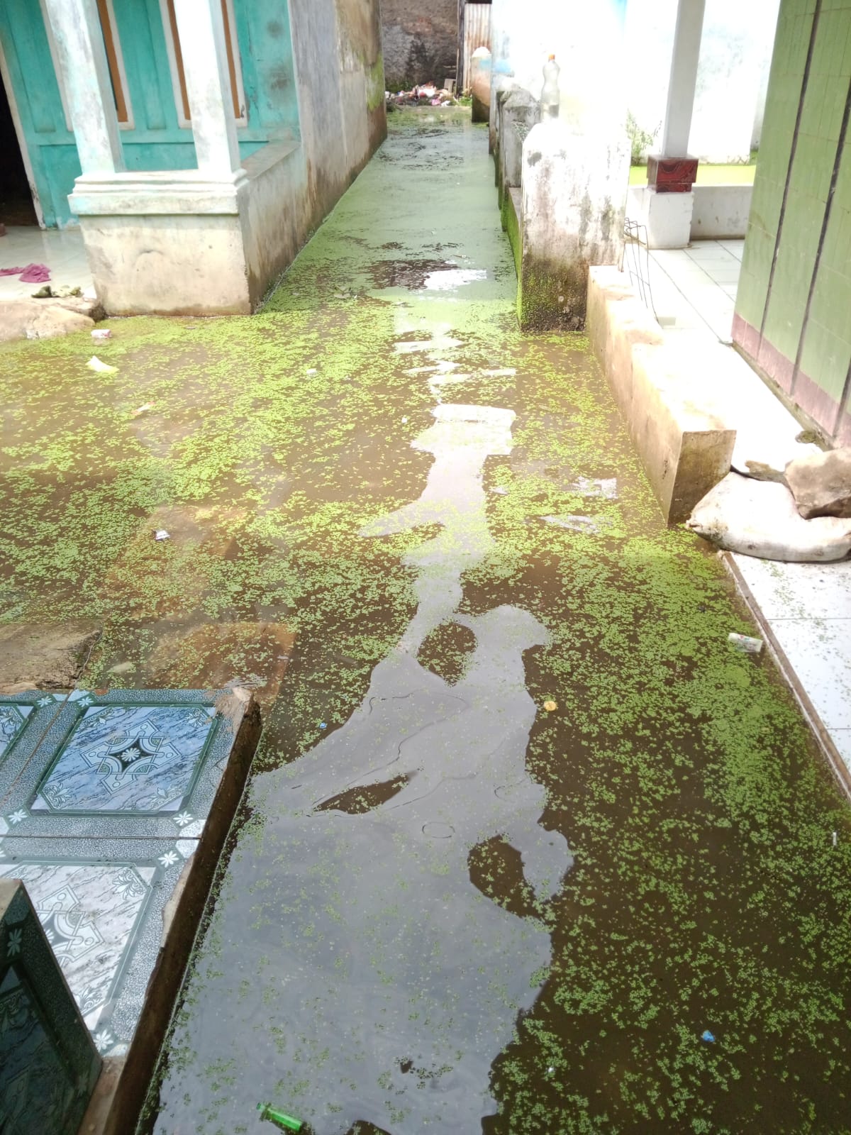 “Jalan Gang Kerap Tergenang Setiap Hujan, Warga Curug Candung RW 05 Desak Pemdes Haurpugur Segera Bangun Drainase”