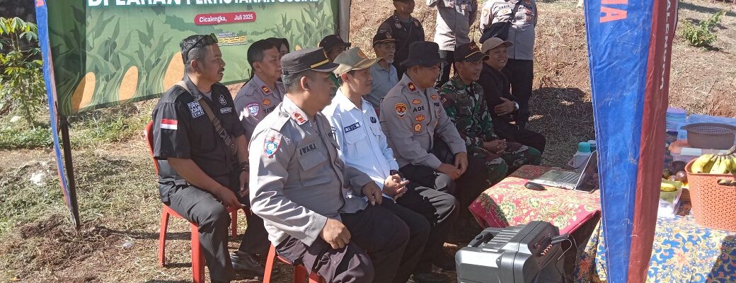 Pokdar Kamtibmas Sektor Cicalengka Hadiri Kegiatan Penanaman Jagung Serentak, Dukung Program KAPOLRI Dalam Ketahanan Pangan