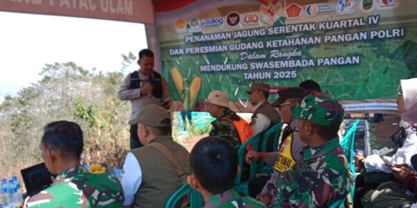 Polsek Cicalengka  Laksanakan Penanaman Jagung  Serentak Di Desa Dampit Pada Kuartal IV Mendukung Swadaya Pangan Tahun 2025