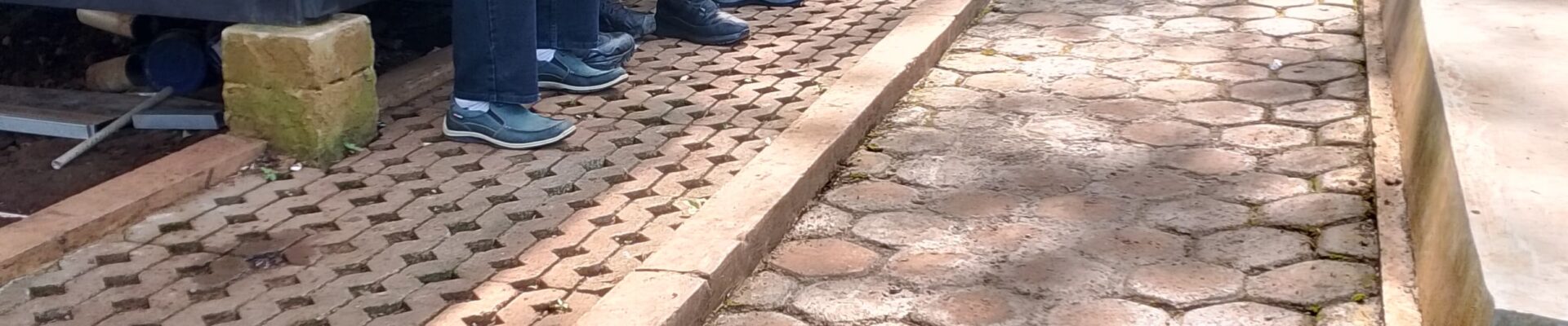 Forkopimcam Bersama PT Mayora Tbk Tanam Seribu Pohon untuk Pelestarian Mata Air