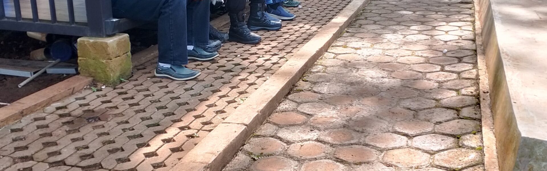 Forkopimcam Bersama PT Mayora Tbk Tanam Seribu Pohon untuk Pelestarian Mata Air