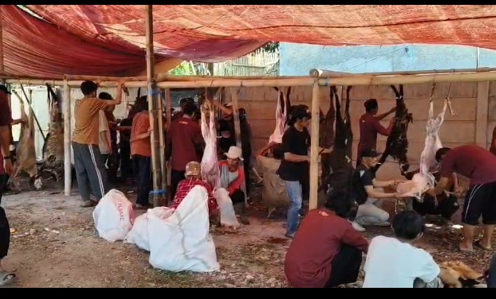Pondok Pesantren Kampung Qur’an Attasis Terima Bantuan 146 Ekor Domba Qurban dari Cocombee SGI